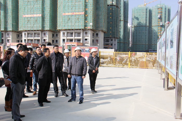 大理市政府考察团到集团棚改项目考察