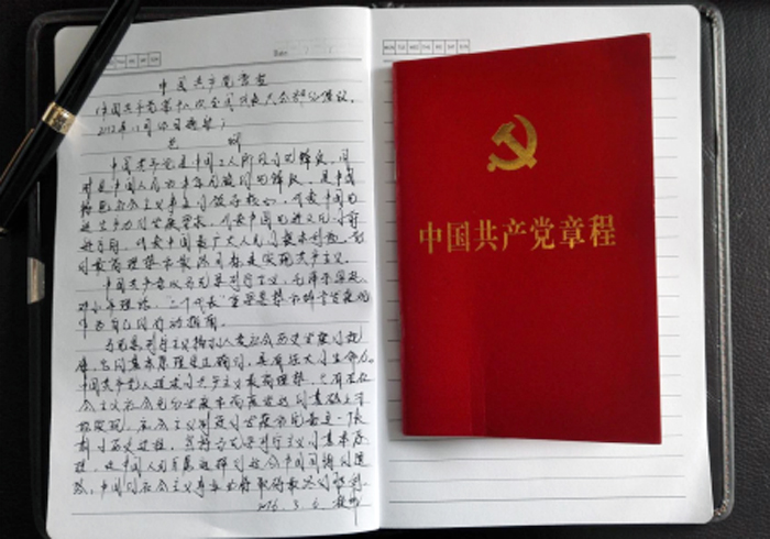 城乡投楚雄分公司党支部开展“手抄党章一百天”学习活动