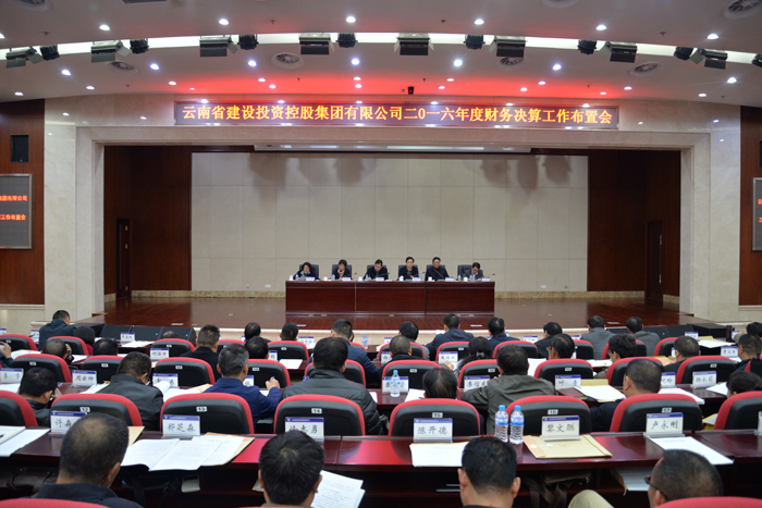 集团召开2016年度财务决算工作会