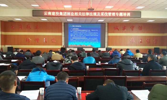 集团举办林业相关法律法规及采伐管理培训班