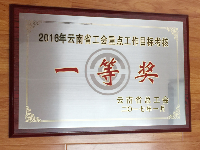 集团获省工会重点工作目标考核一等奖