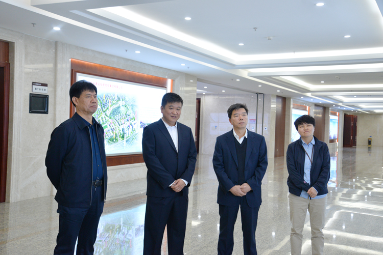 中铁开发投资公司到访集团