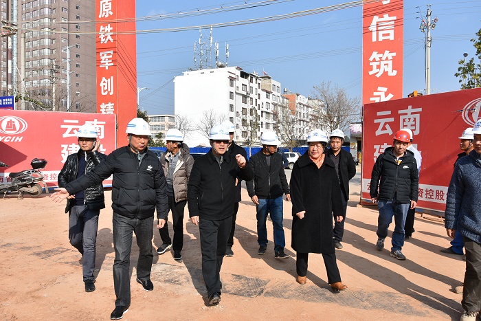 李家龙调研集团楚雄在建项目