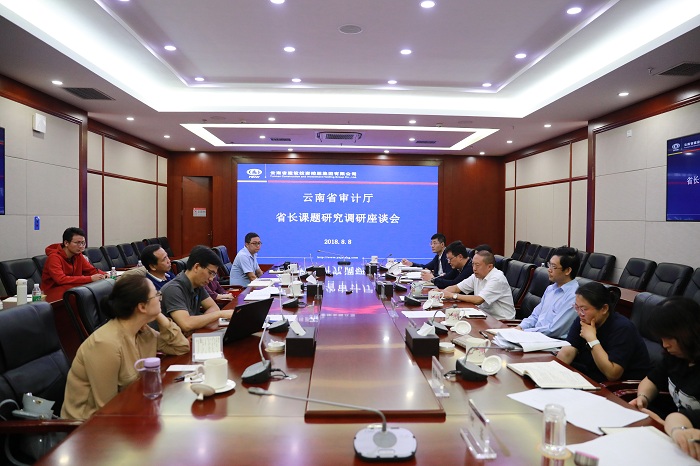省审计厅省长课题研究座谈会在集团召开