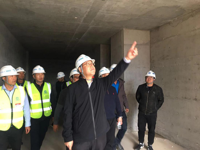 陈文双调研九公司保山青华海经济综合体项目