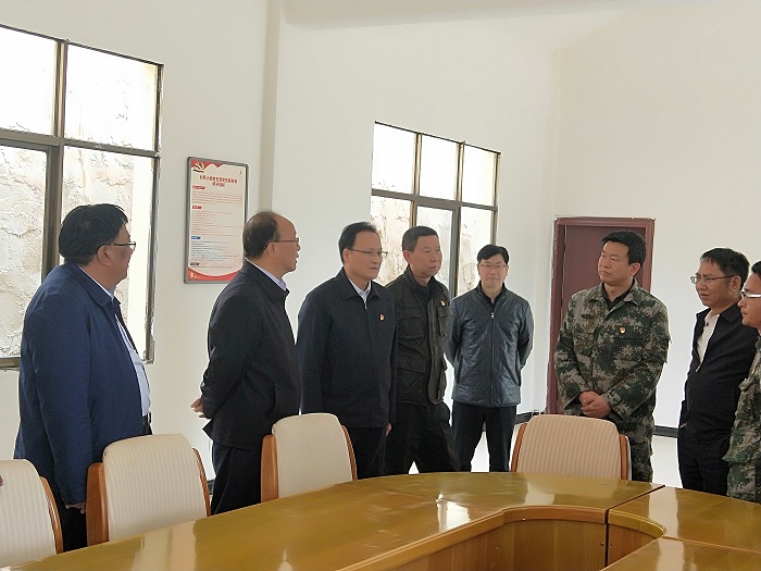 李家龙调研插甸镇“美丽乡村”建设项目