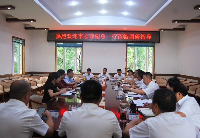李志琤调研十三公司