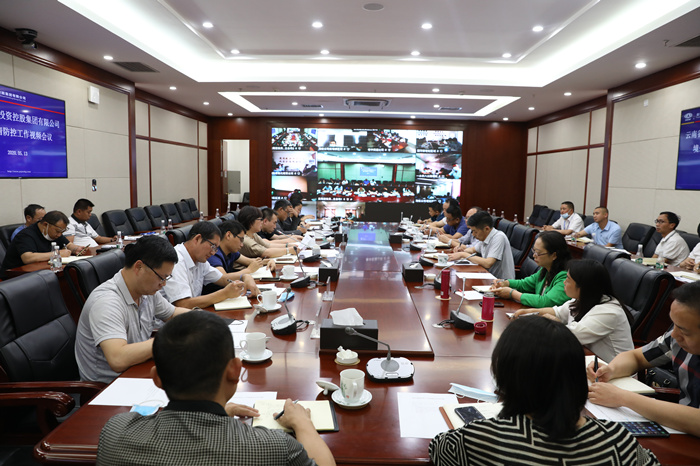 集团召开境外疫情防控工作视频会