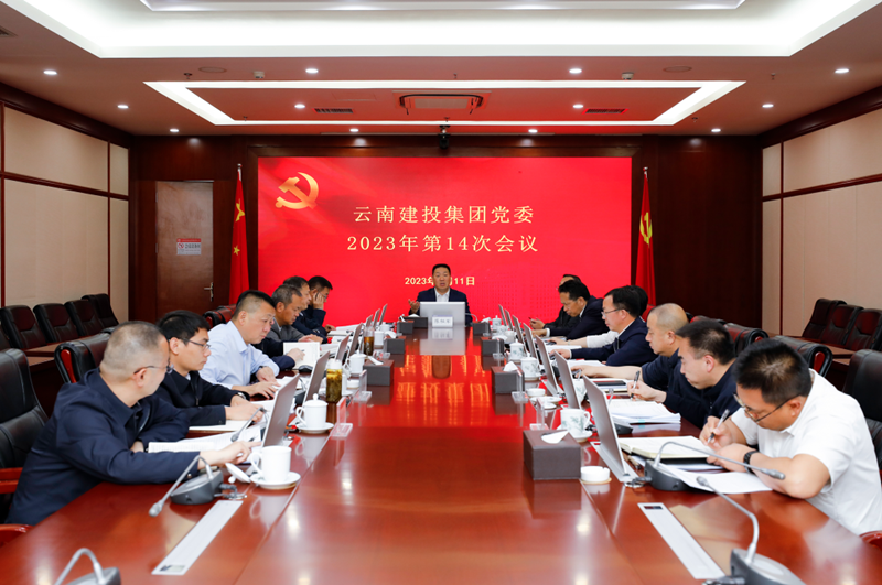 集团党委会强调：深入学习贯彻习近平总书记重要讲话精神 高标准高质量开展好主题教育