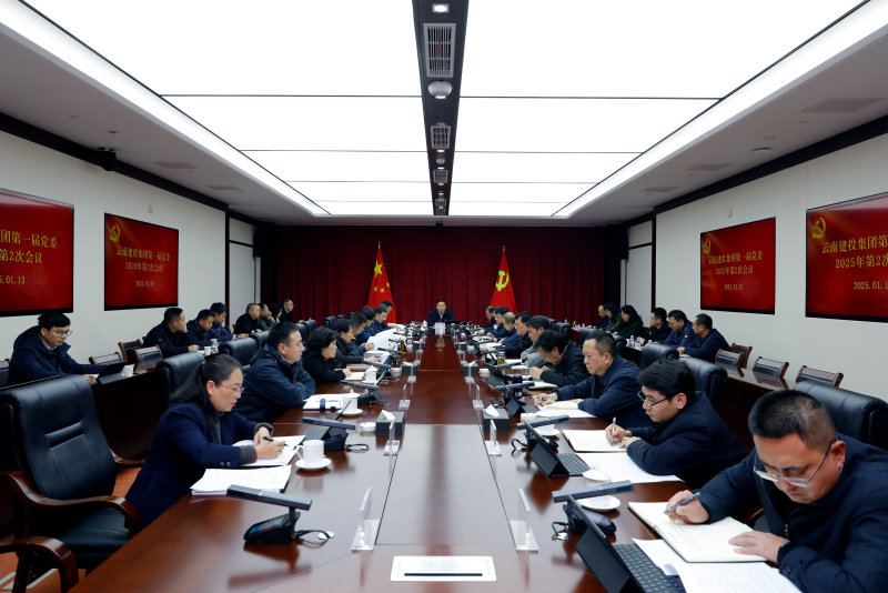 集团党委召开2025年第2次会议
