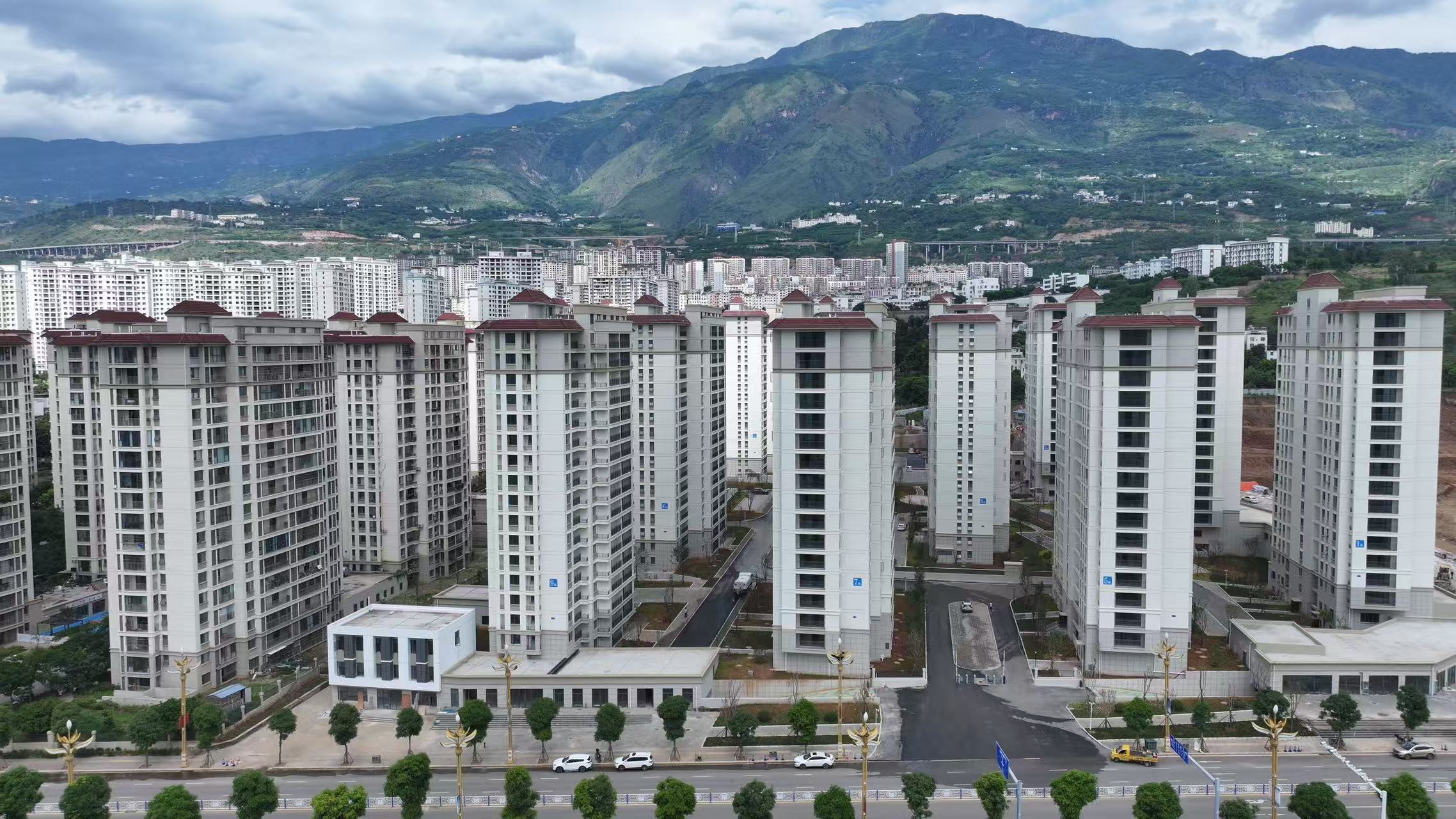 巧家县白鹤滩移民工程新增项目顺利竣工验收